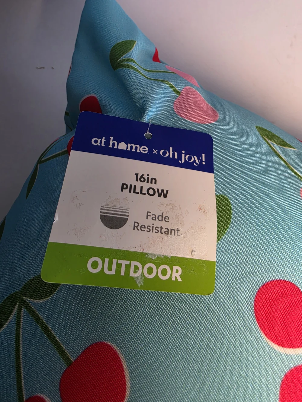 NWT Oh Joy! Cherry Print Outdoor Throw Pillow in Sky Blue Size 16