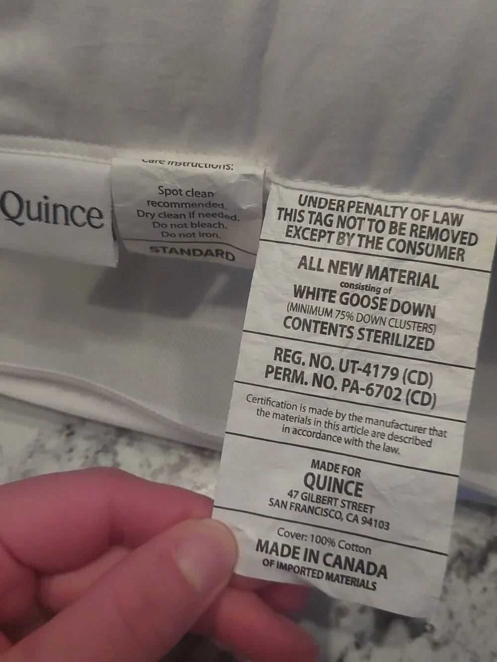 Quince Standard White Goose Down Pillow ( Medium/ Firm)(P36)