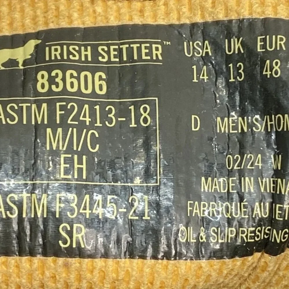 Irish Setter irish setter