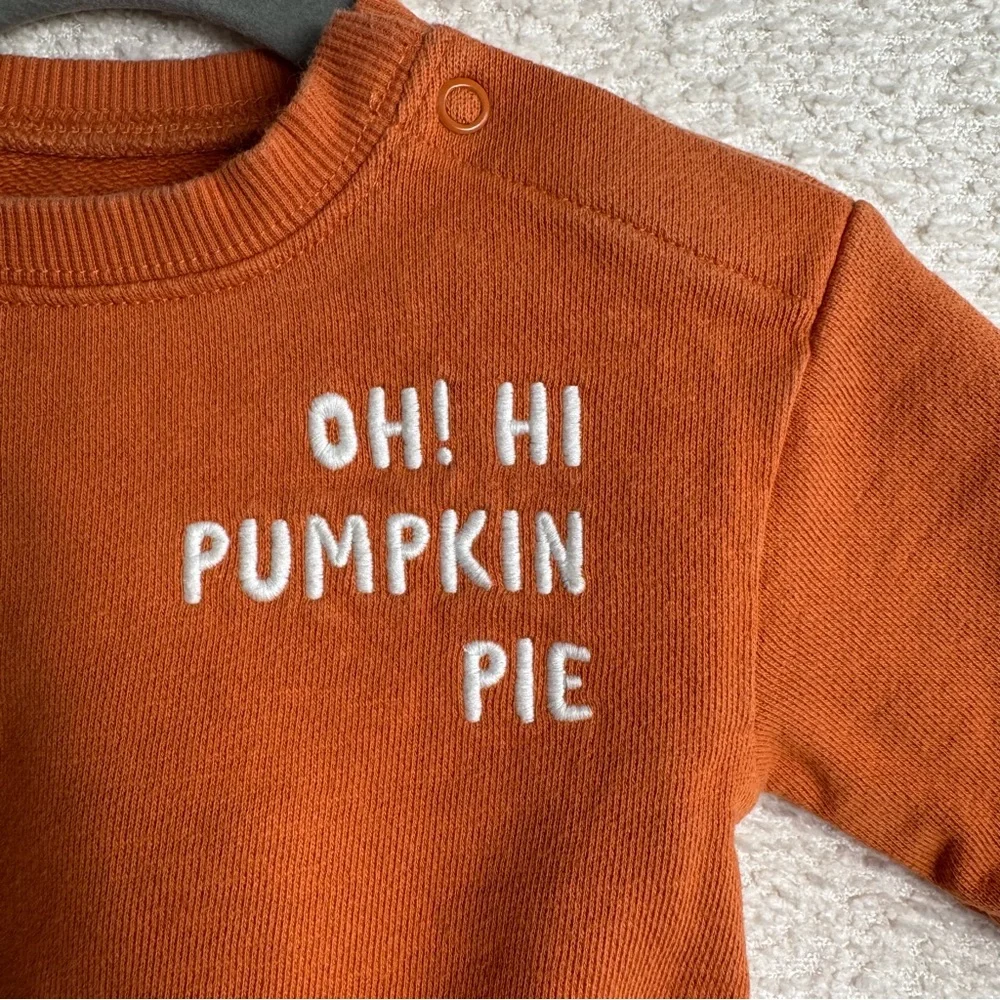 Oh‎ Hi Pumpkin Pie Harvest Orange Long Sleeve Sweatshirt Body Suit Size 3 months