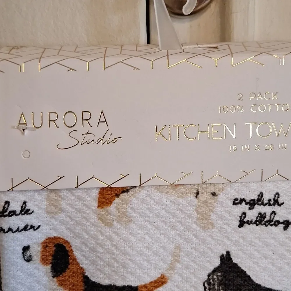 aurora studio upgrade your
