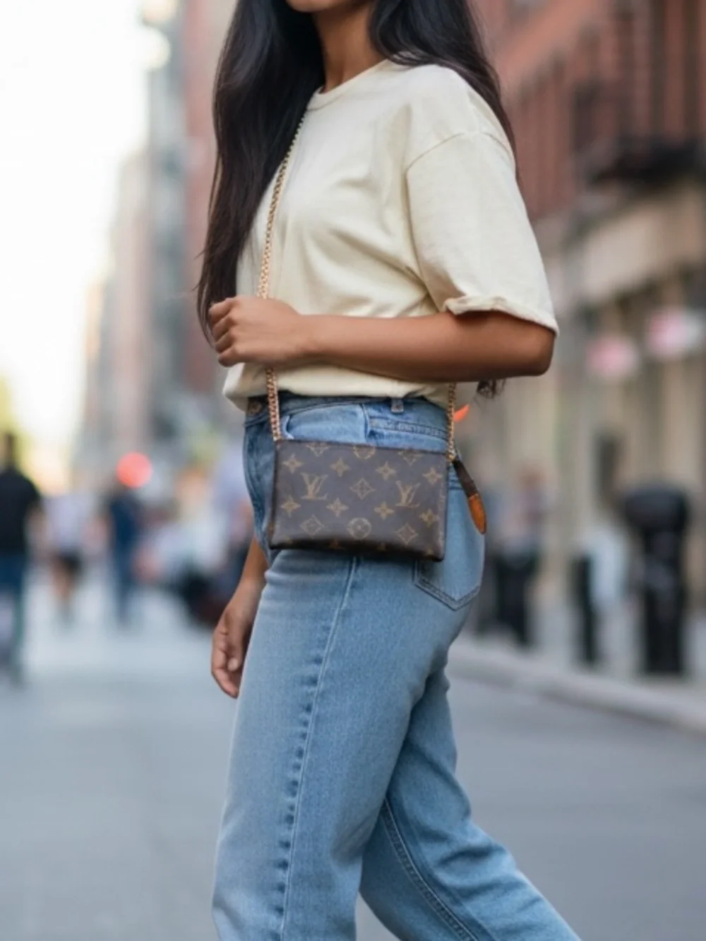 Louis Vuitton auth louis