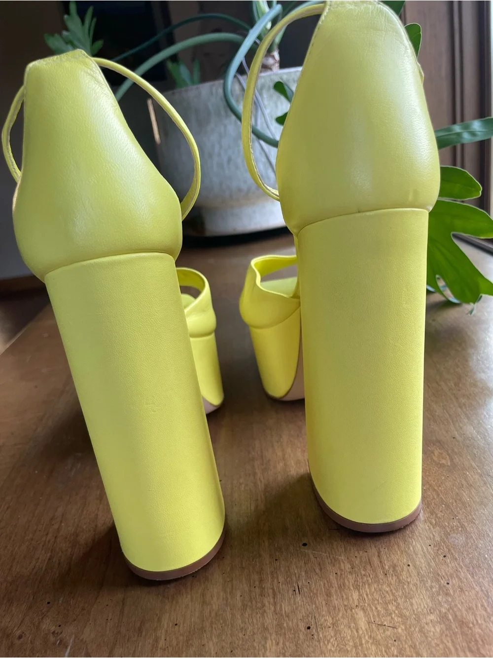 SCHUTZ make bold