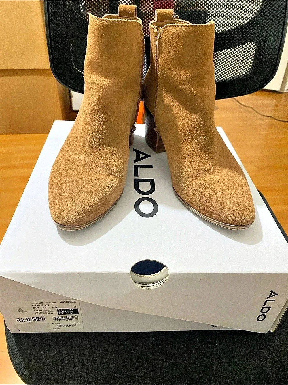 Aldo ryeland ankle