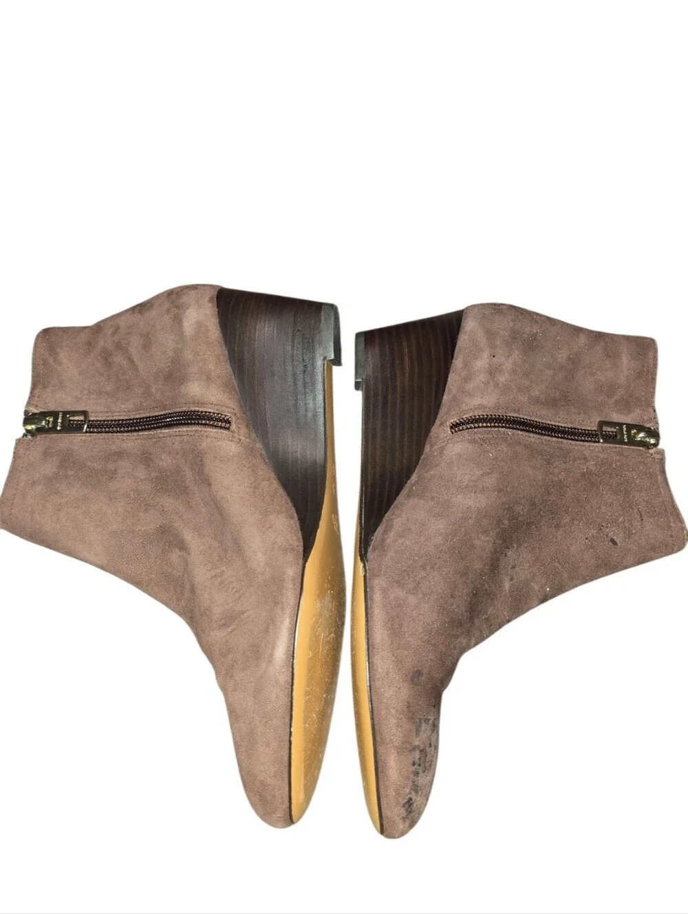 Coach taupe suede