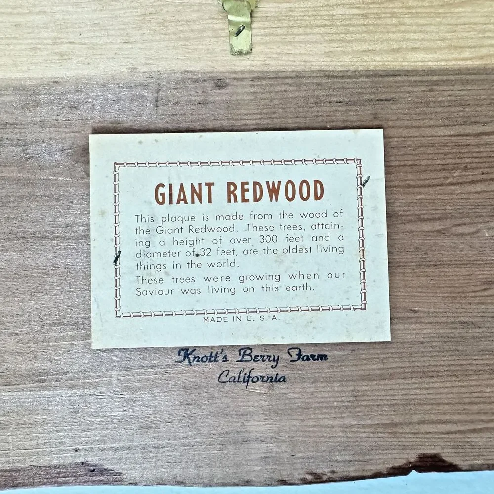 Knotts Berry Farm vintage why