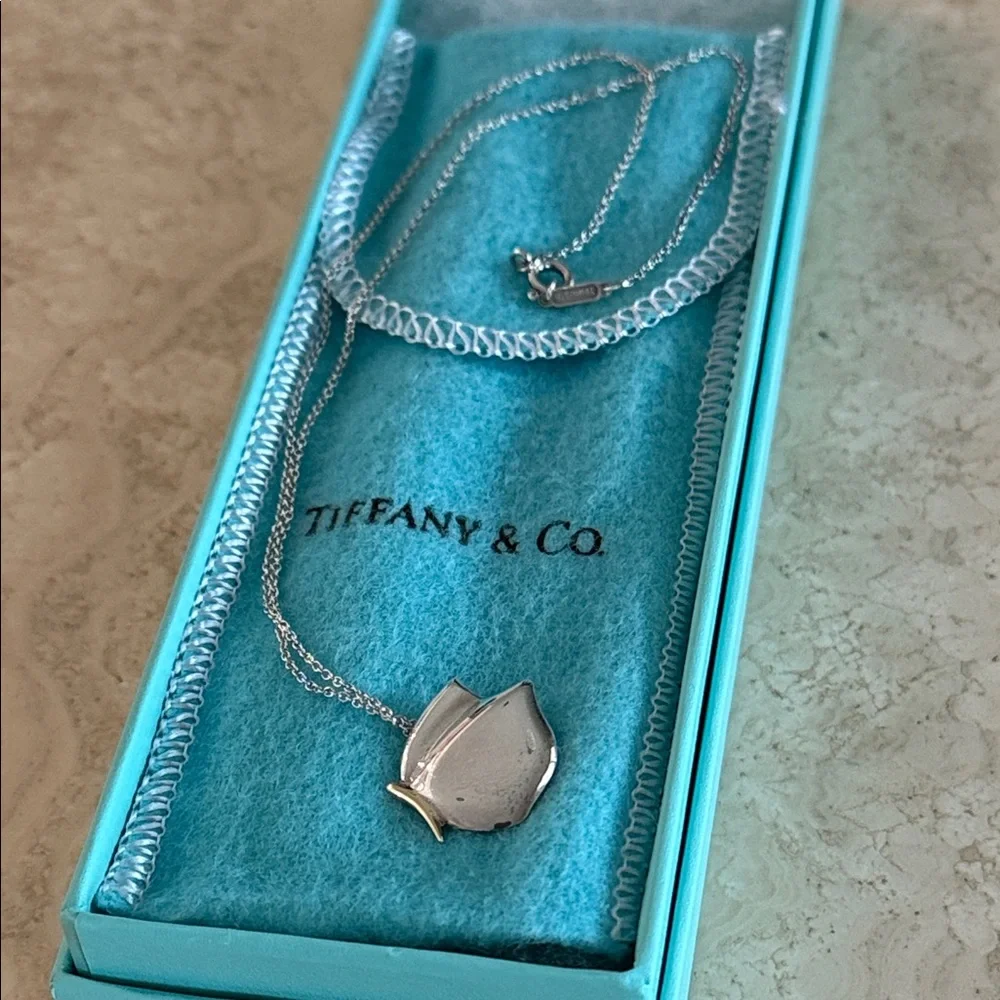 Tiffany & Co. authentic gorgeous