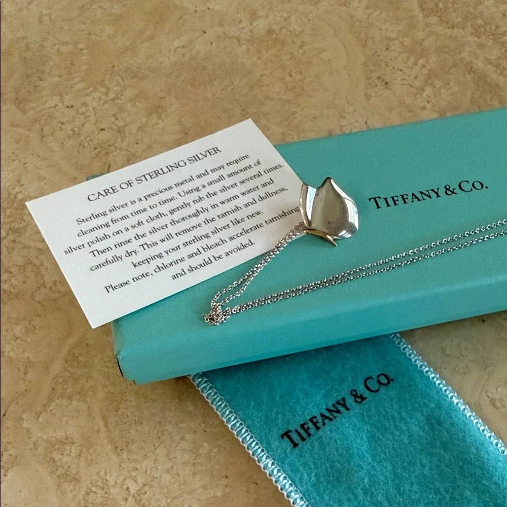 Tiffany & Co. authentic gorgeous